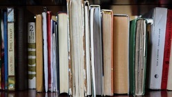 Сотрудники белгородской научной библиотеки уже оцифровали 19 тыс. книг и рукописей 