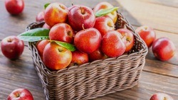 Власти Корочанского района рассказали об адресах магазинов с яблочной продукцией