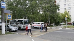 Семь пешеходных переходов около школ будут отремонтированы в Корочанском районе