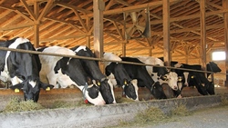 Белгородские компании начали производить молоко с правильным белком