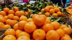 Белгородцы узнали о пользе здорового образа жизни 