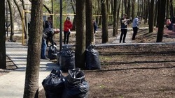 Корочанцы смогут принять участие во Всероссийском субботнике