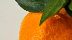 Как избежать коронавируса. Инфекционист назвала симптомы и меры профилактики заболевания