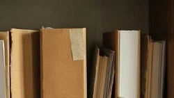 Постановление администрации Корочанского округа от 17 февраля 2026 года №118-па