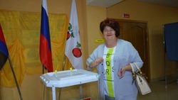 Выборы депутатов и кандидатов в органы местного самоуправления начались в Белгородской области