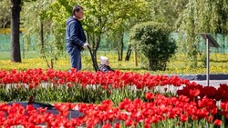 38 парков в Белгородской области благоустроили в рамках проекта ФКГС