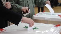 Кампания по обучению наблюдателей за выборами стартовала в Белгородской области