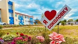 Глава администрации Соколовского сельского поселения рассказала о благоустройстве территории