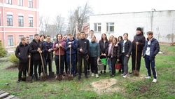 Корочанские школьники поддержали акцию «Сад Памяти»