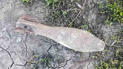 Очевидцы обнаружили боеприпасы времён Великой Отечественной войны в Корочанском районе