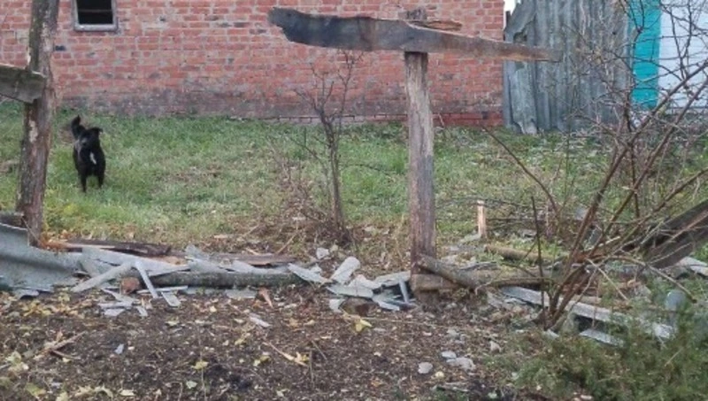 Девять муниципалитетов Белгородчины попали под обстрел ВСУ за сутки