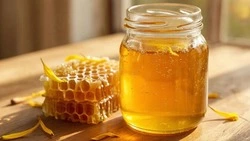 Любят взрослые и дети. Белгородцы оценили вкус корочанского мёда