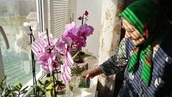 Война и труд сформировали характер Ульяны Антоненко