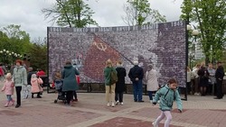 Губернатор Белгородской области одобрил идею сохранения панно с фотографиями ветеранов