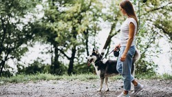 Дополнительные требования к содержанию домашних животных утверждены в Белгородской области