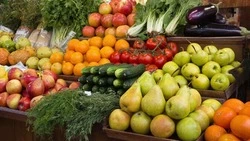 Сельскохозяйственная ярмарка пройдёт в Короче 13 декабря