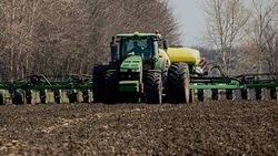 126 белгородских сельхозпроизводителей получили помощь в размере 230 млн рублей