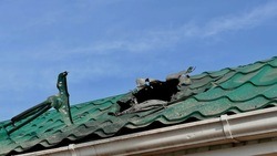 Белгородские власти помогли восстановить 124 пострадавших в результате обстрелов домовладения