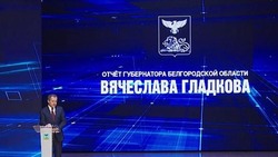 Вячеслав Гладков сообщил о превышении объёма ВРП в регионе на 1,4 трлн рублей по итогам 2024 года 