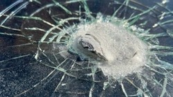 ПВО сбила над Корочанским районом восемь беспилотников