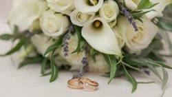 Белгородский ЗАГС подвёл итоги свадебного сезона 2025 года