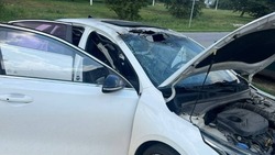 Восемь муниципалитетов Белгородской области попали под обстрел ВСУ за сутки 