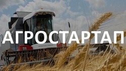 40 жителей Белгородской области в 2024 году получили гранты «Агростартап»