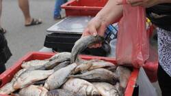 Рыба признана самым фальсифицируемым в регионе продуктом