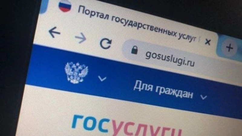 Белгородцы оформили свыше 4,3 млн заявлений через портал Госуслуг в 2025 году