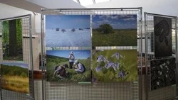 Передвижная выставка «На пути к природе» открылась в Белгородском краеведческом музее 