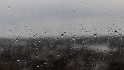 Синоптики предупредили белгородцев о сильном ветре и дожде на выходных 
