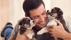 Москвичи собрали 10 тонн помощи для животных Белгородской области и ДНР