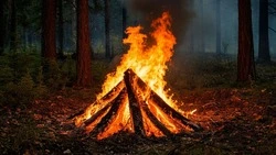 Особый противопожарный режим продлён в Белгородской области до 5 октября