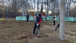 Весенние субботники проходят в Корочанском районе