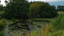 Белгородские власти планируют расчистить более 100 км рек в 2022 году