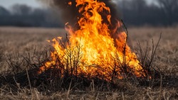 Пожароопасный сезон открыт в Белгородской области