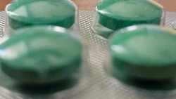 Что такое снюс? Комиссия ПДН напомнила корочанцам об опасности влажного табака