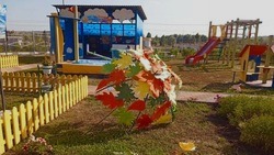 Корочанский детский сад №2 «Жемчужинка» победил в областном конкурсе на лучшее благоустройство