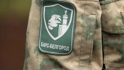 Вячеслав Гладков рассказал о вручении наград бойцам отряда «БАРС-Белгород»