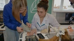 Увидеть и попробовать всё самому! В Корочанском техникуме прошёл День открытых
