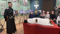 Вдохновлённый историей. Чем удивительно творчество Дмитрия Альшаева