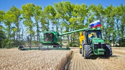 Уборка зерновых культур стартовала в Корочанском районе