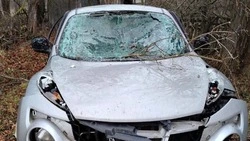 12 муниципалитетов Белгородской области попали под обстрел ВСУ за сутки