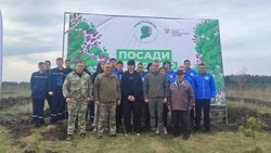 Акция «Сад памяти» вновь объединит жителей Белгородской области