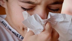 Рост заболеваемости гриппом уменьшился на территории Белгородской области