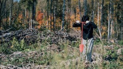 Корочанцы приняли участие во всероссийской акции «Сохраним лес»