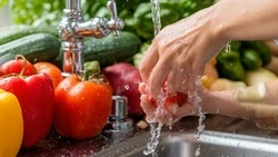 Нужно ли мыть фрукты  и овощи с мылом? Технолог пищевого производства  разрушает стереотипы