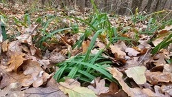 Судьба играет человеком. С какими превратностями можно столкнуться в жизни