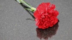Белгородские власти планируют расширить закон об увековечивании памяти героев