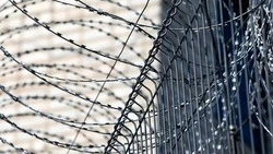 Судья разъяснила порядок взыскания алиментов